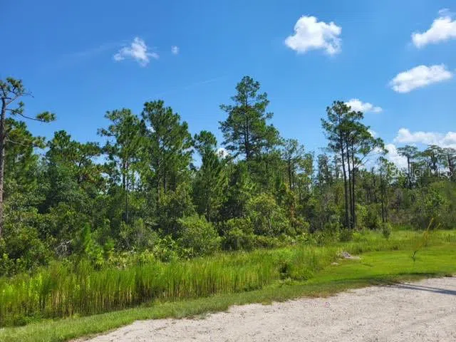 S APOPKA VINELAND Orlando, FL 32821
