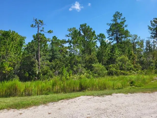 S APOPKA VINELAND Orlando, FL 32821