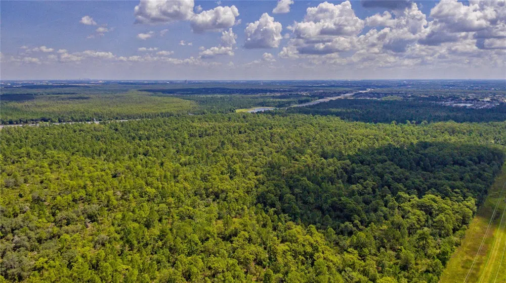 S APOPKA VINELAND Orlando, FL 32821