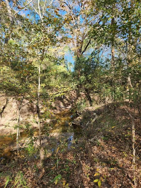 6419 Locust Street Murchison, TX 75778