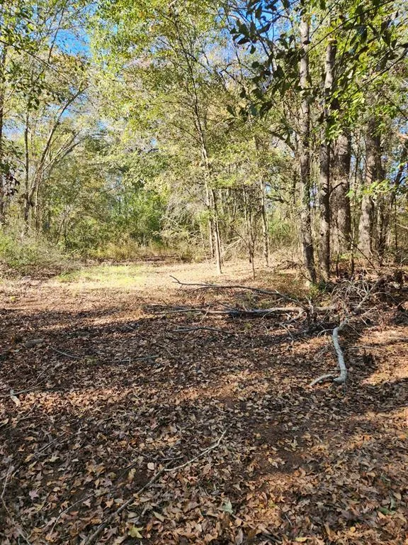 6419 Locust Street Murchison, TX 75778