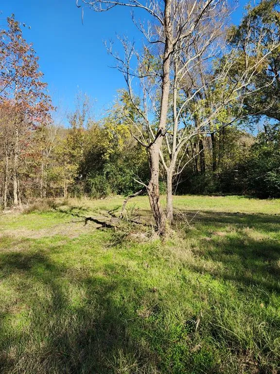 6419 Locust Street Murchison, TX 75778
