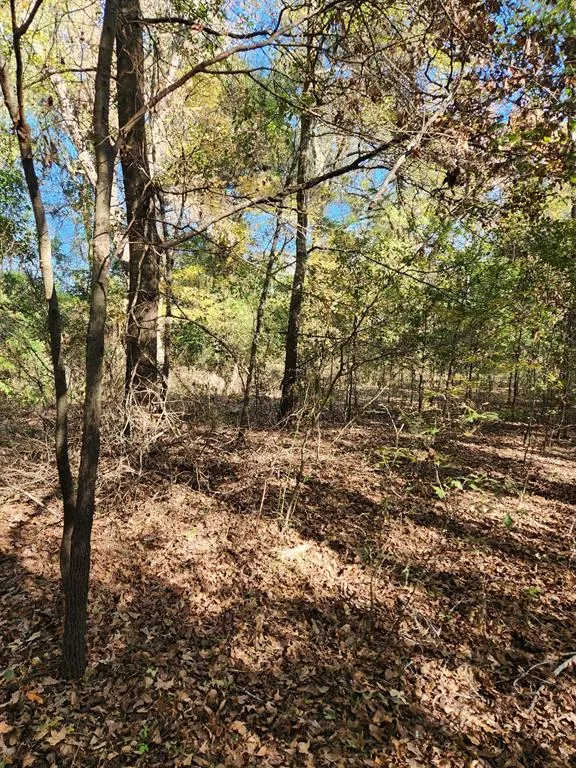 6419 Locust Street Murchison, TX 75778