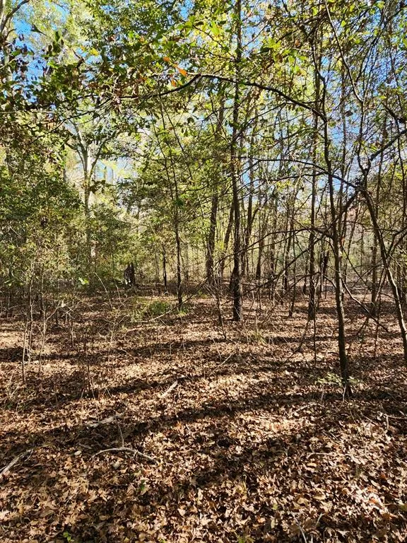 6419 Locust Street Murchison, TX 75778
