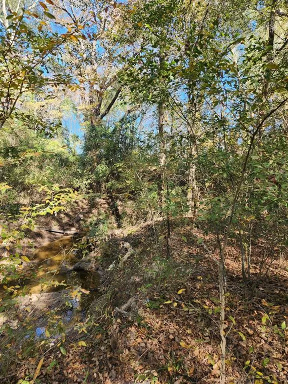 6419 Locust Street Murchison, TX 75778