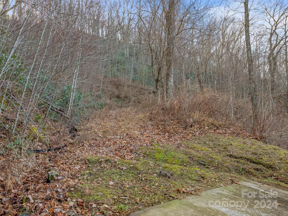 99999 Stonecrest Drive #A, B Asheville, NC 28803