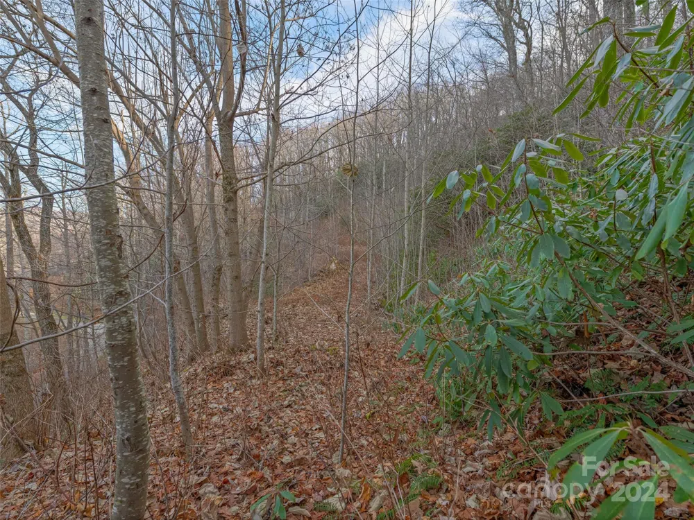 99999 Stonecrest Drive #A, B Asheville, NC 28803