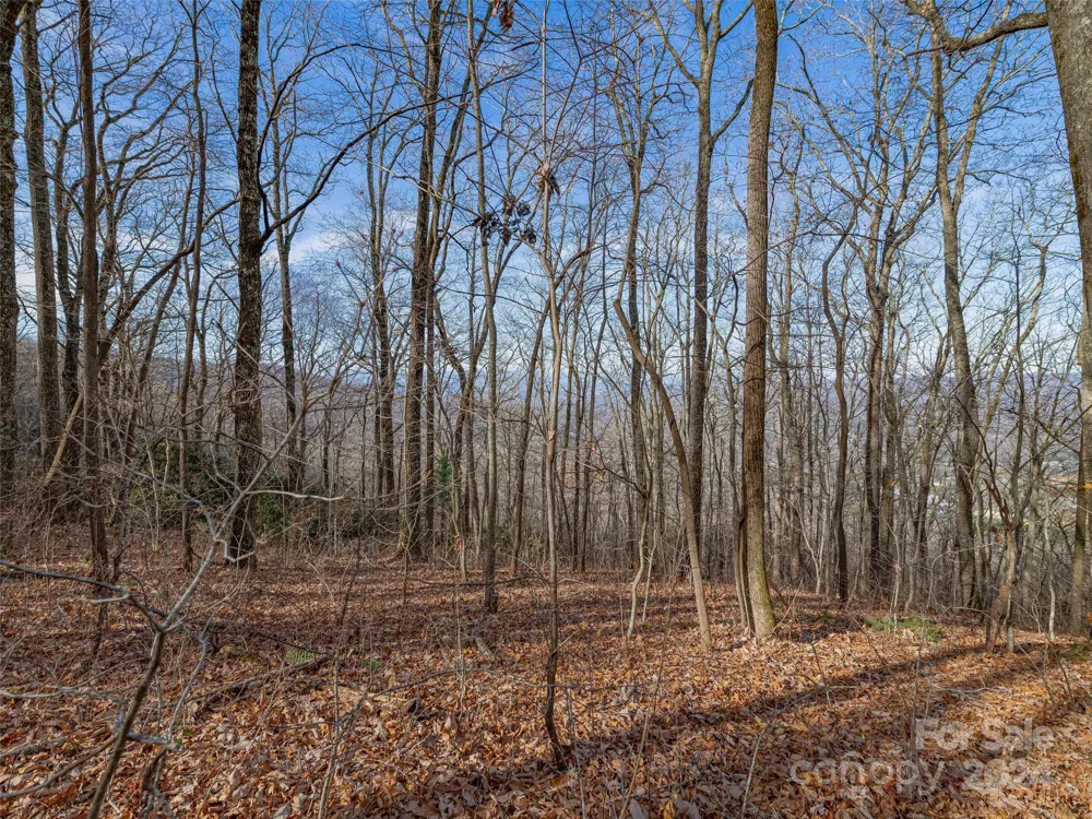 99999 Stonecrest Drive #A, B Asheville, NC 28803