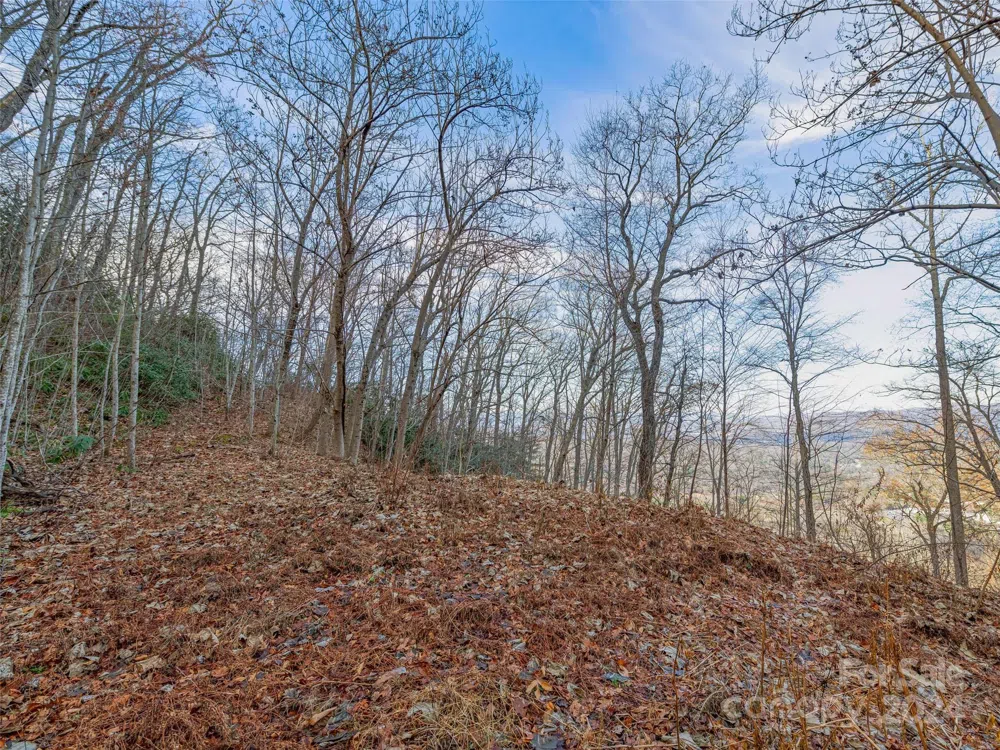 99999 Stonecrest Drive #A, B Asheville, NC 28803