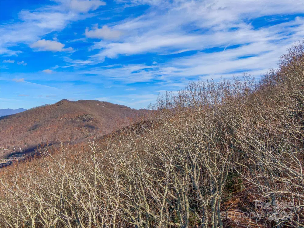 99999 Stonecrest Drive #A, B Asheville, NC 28803