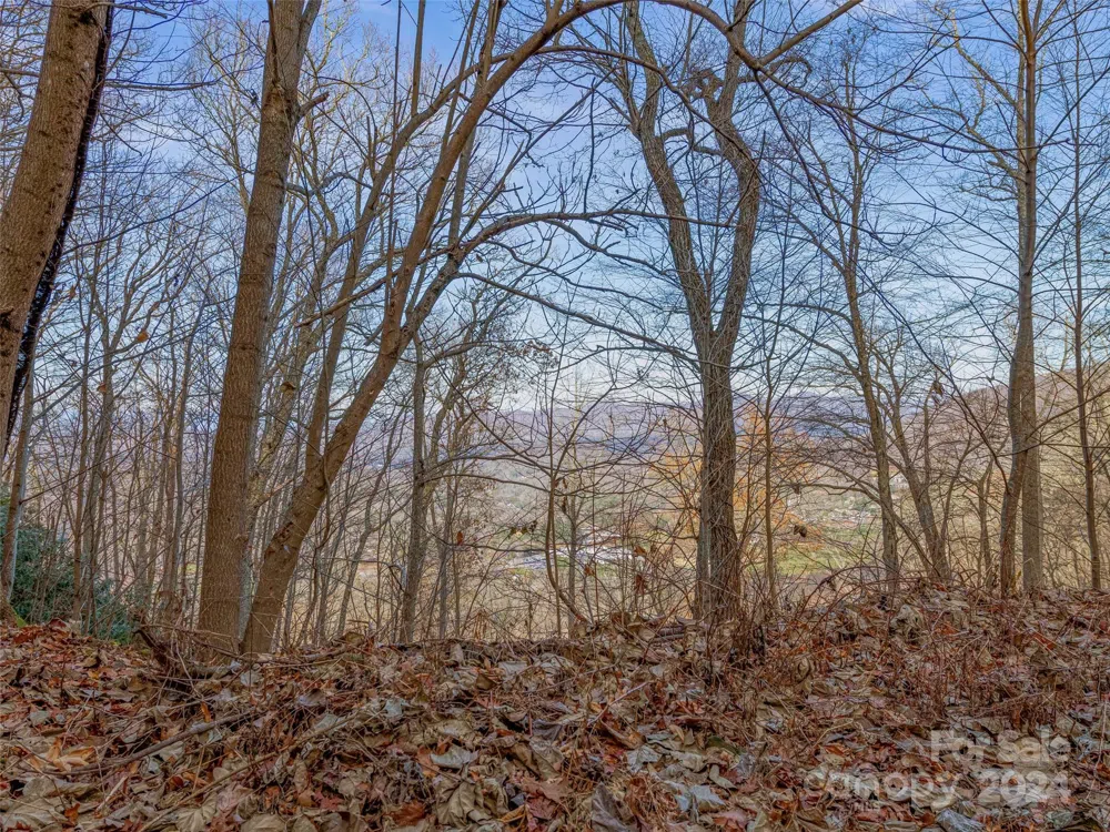99999 Stonecrest Drive #A, B Asheville, NC 28803