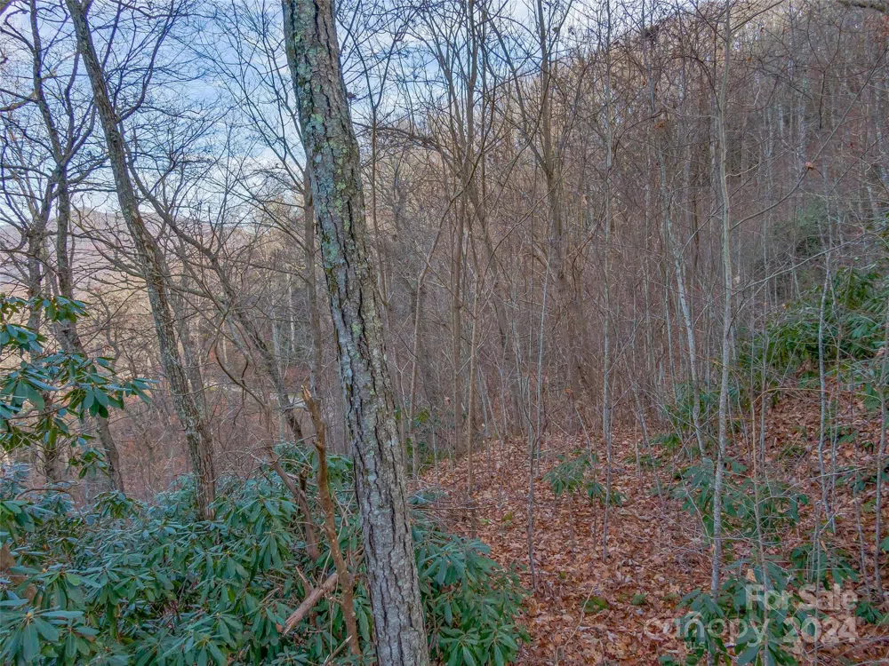 99999 Stonecrest Drive #A, B Asheville, NC 28803