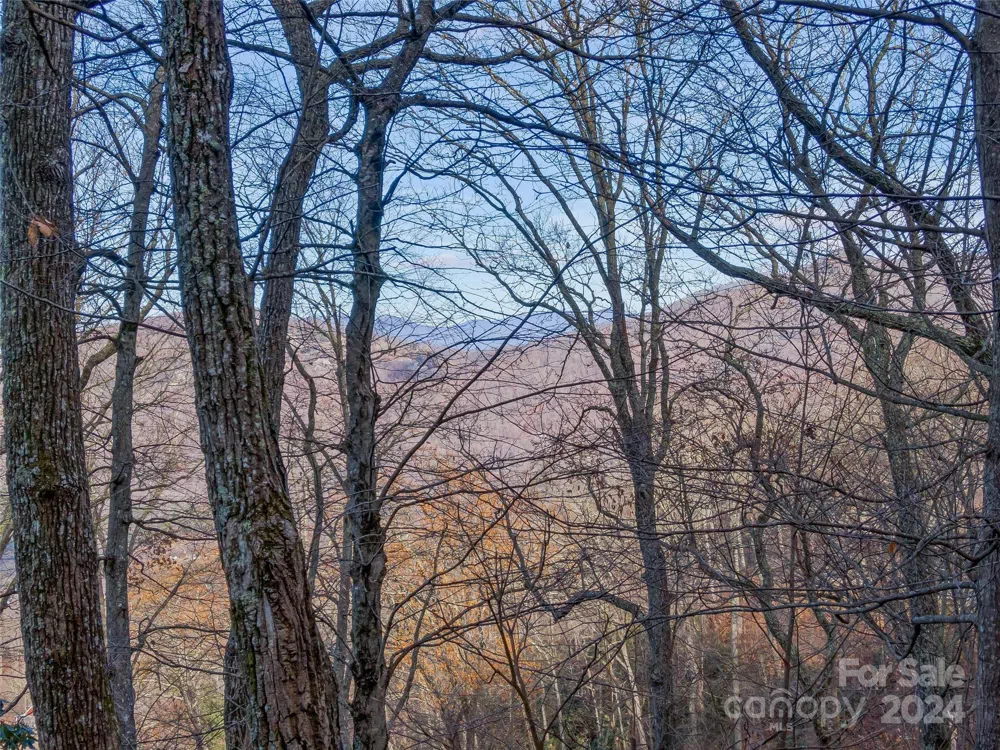 99999 Stonecrest Drive #A, B Asheville, NC 28803