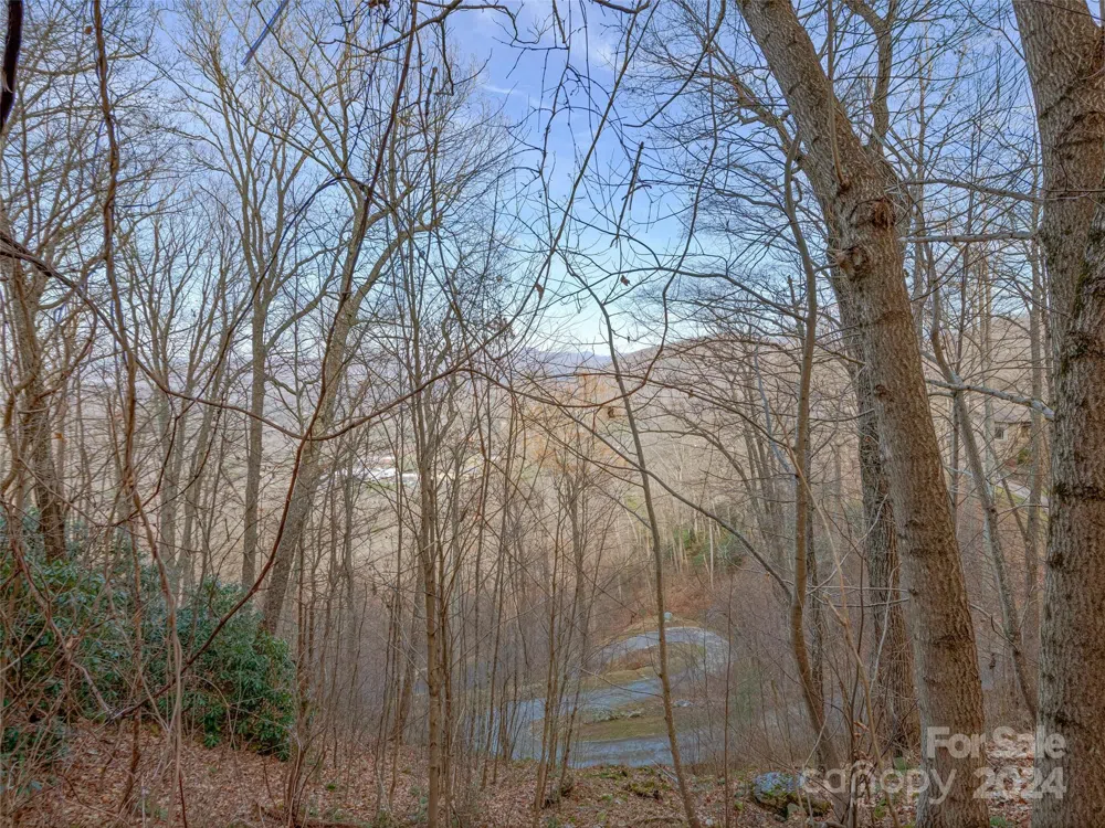 99999 Stonecrest Drive #A, B Asheville, NC 28803