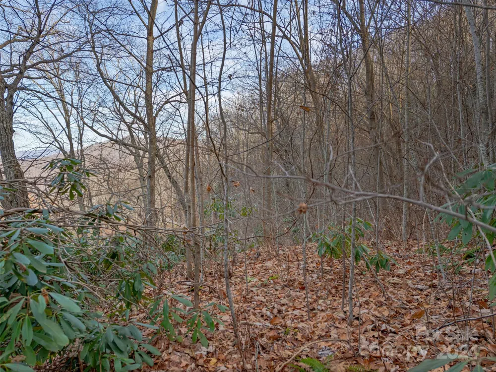99999 Stonecrest Drive #A, B Asheville, NC 28803