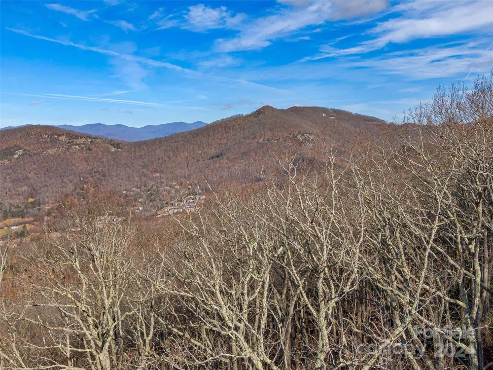 99999 Stonecrest Drive #A, B Asheville, NC 28803