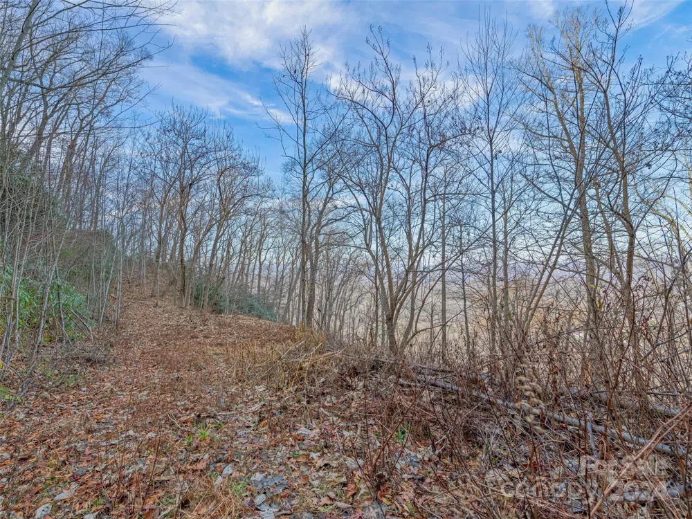 99999 Stonecrest Drive #A, B Asheville, NC 28803