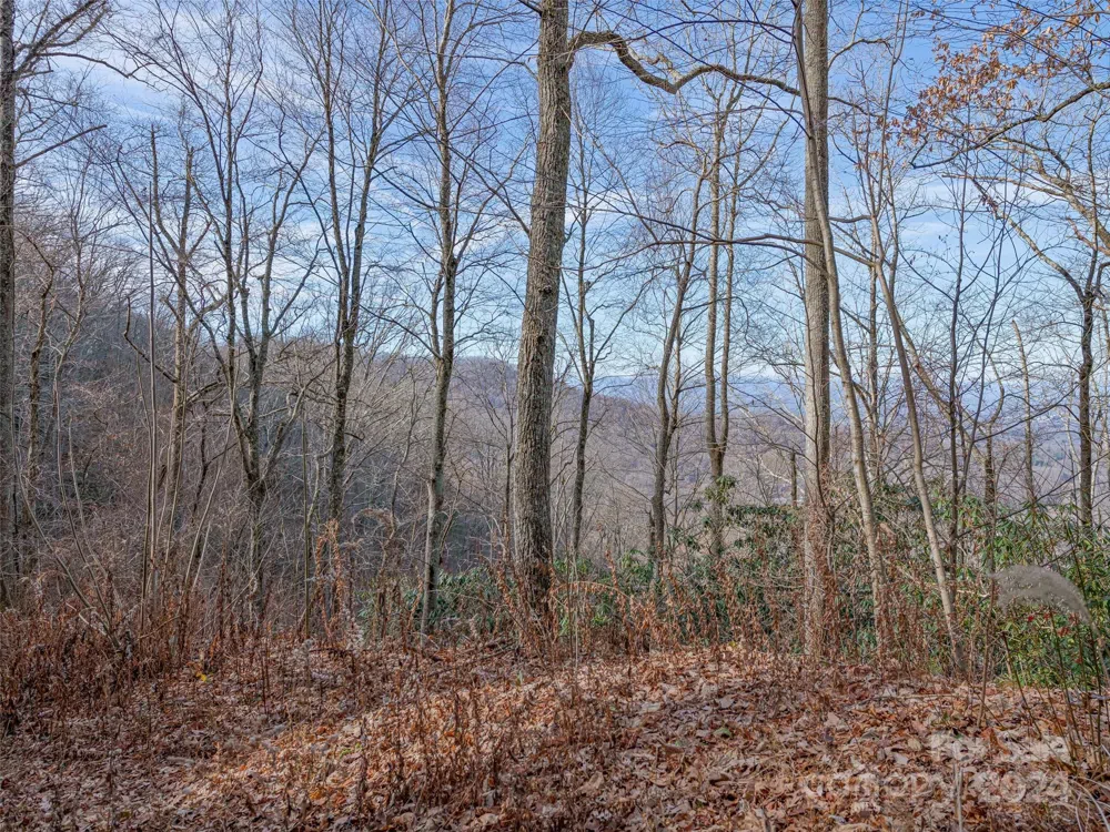 99999 Stonecrest Drive #A, B Asheville, NC 28803