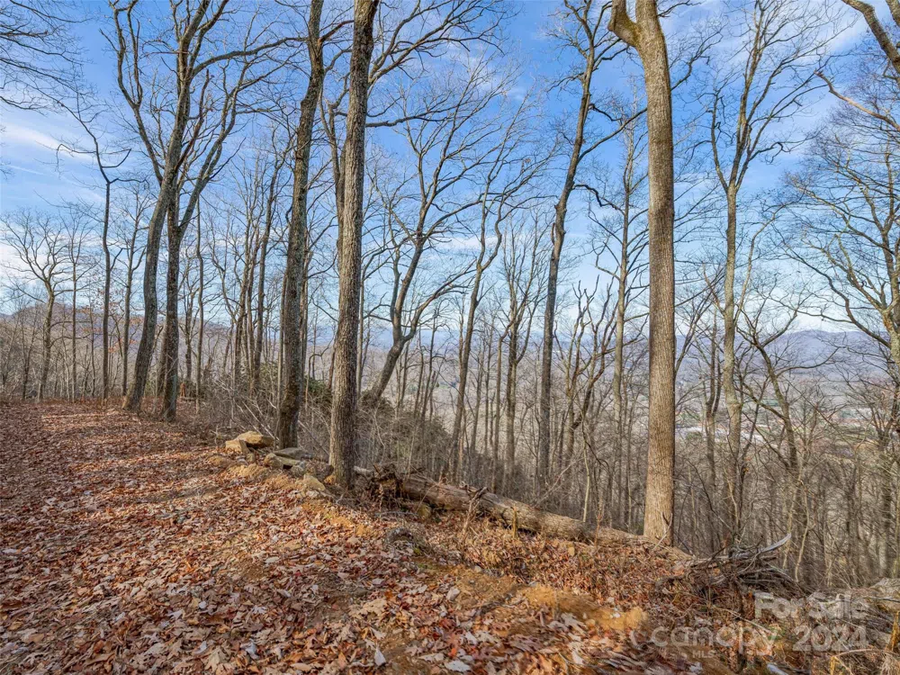99999 Stonecrest Drive #A, B Asheville, NC 28803