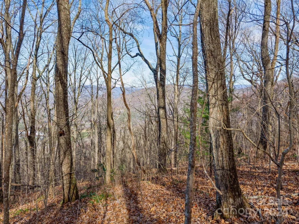 99999 Stonecrest Drive #A, B Asheville, NC 28803