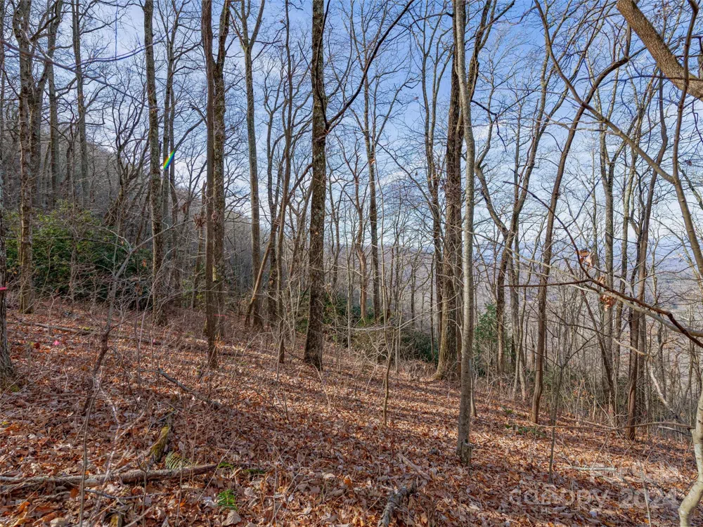 99999 Stonecrest Drive #A, B Asheville, NC 28803