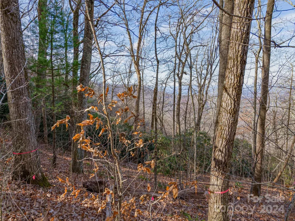 99999 Stonecrest Drive #A, B Asheville, NC 28803