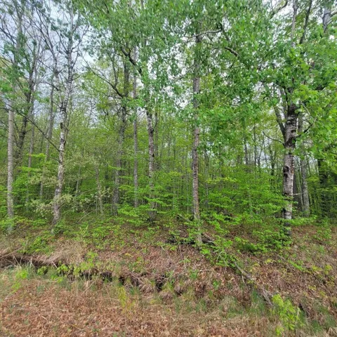 Lot 10 County Road A