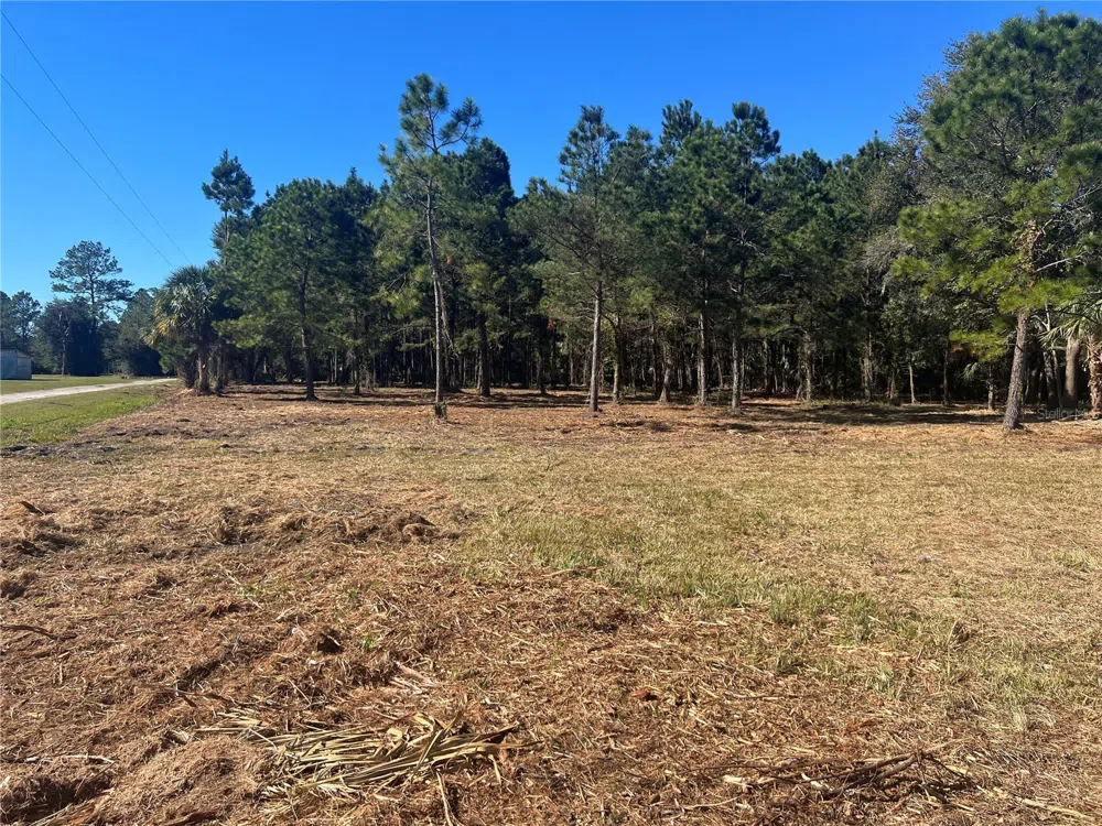 17802 US-301 Waldo, FL 32694