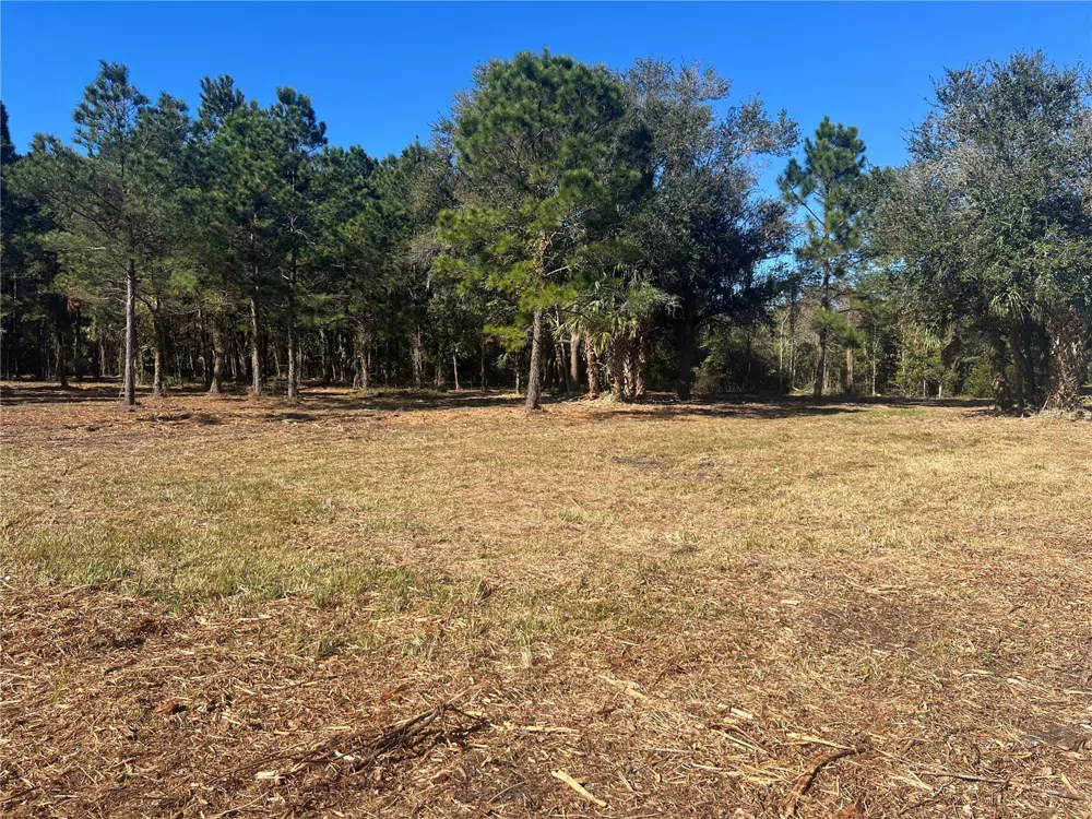 17802 US-301 Waldo, FL 32694