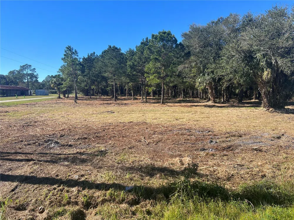 17802 US-301 Waldo, FL 32694