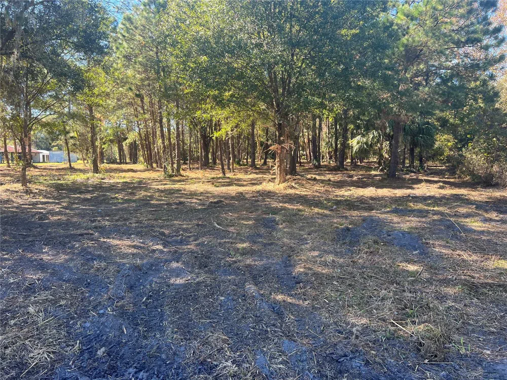 17802 US-301 Waldo, FL 32694