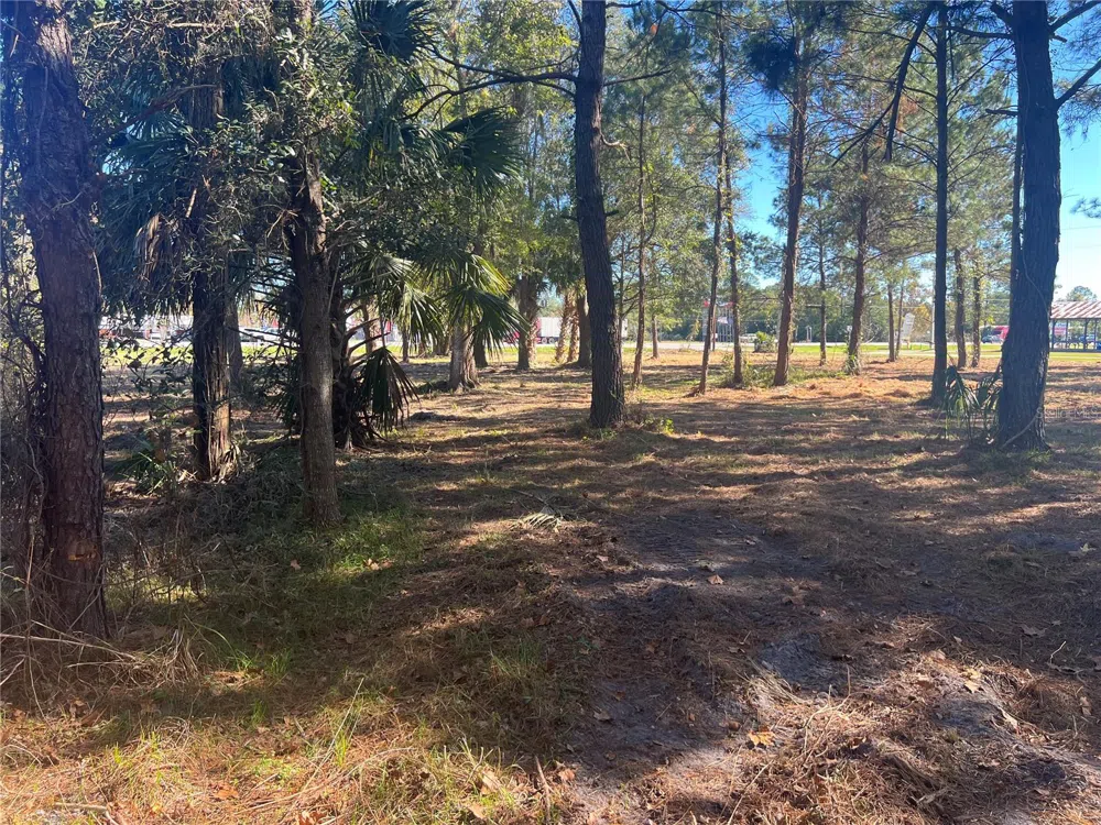 17802 US-301 Waldo, FL 32694