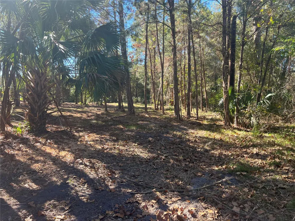 17802 US-301 Waldo, FL 32694