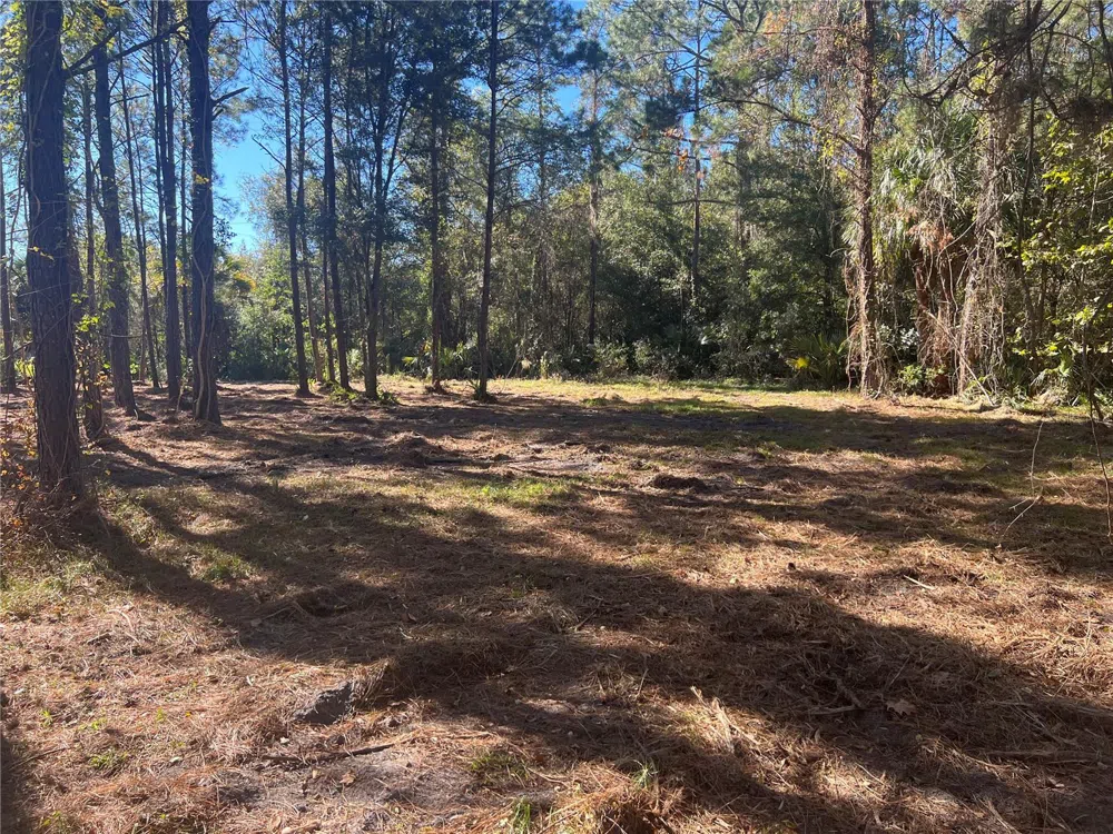 17802 US-301 Waldo, FL 32694