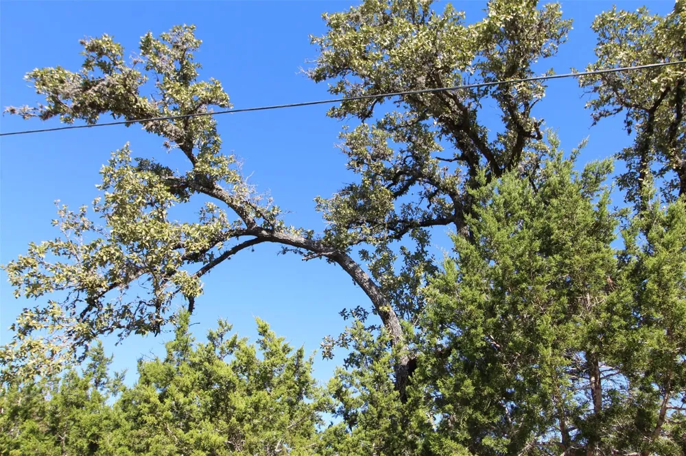 357 Big Bend Drive Canyon Lake, TX 78133