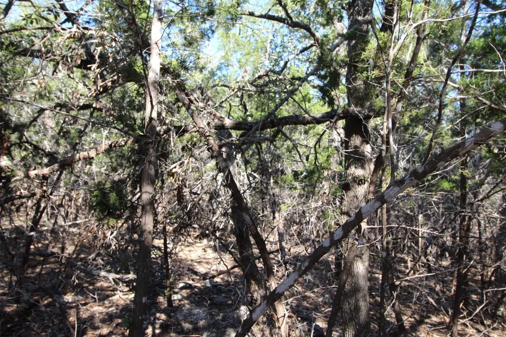 357 Big Bend Drive Canyon Lake, TX 78133