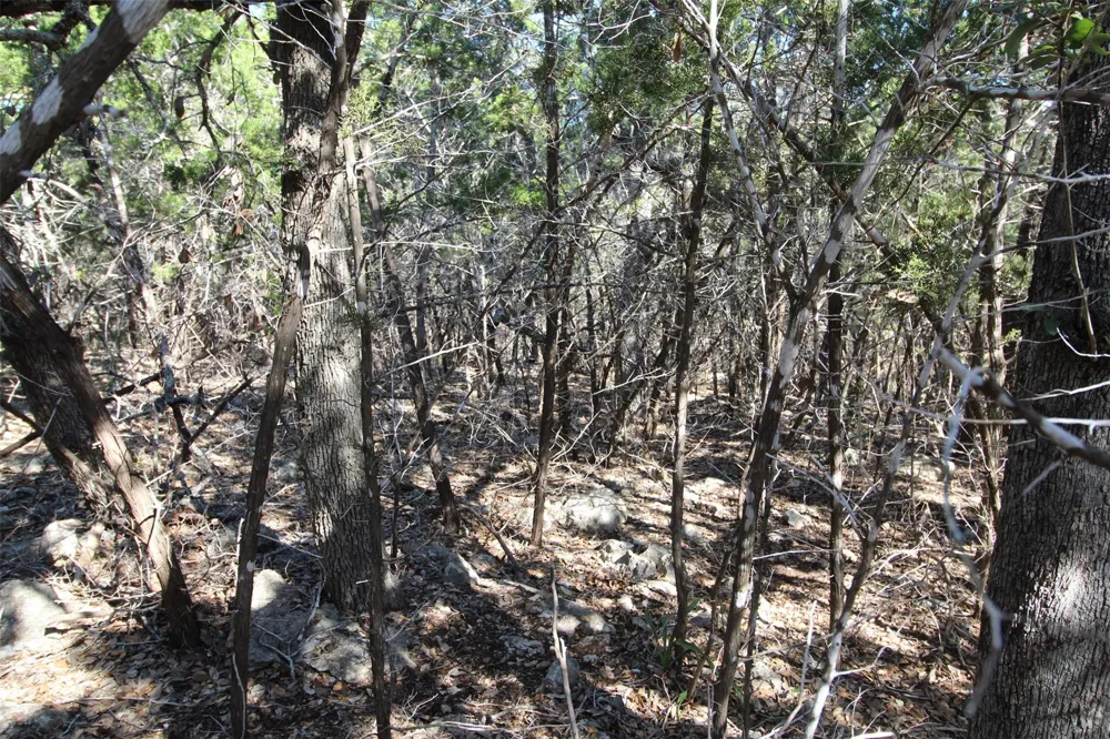 357 Big Bend Drive Canyon Lake, TX 78133