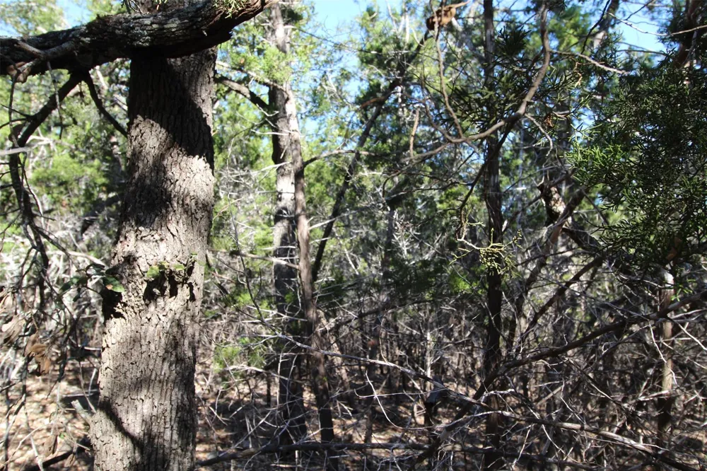 357 Big Bend Drive Canyon Lake, TX 78133