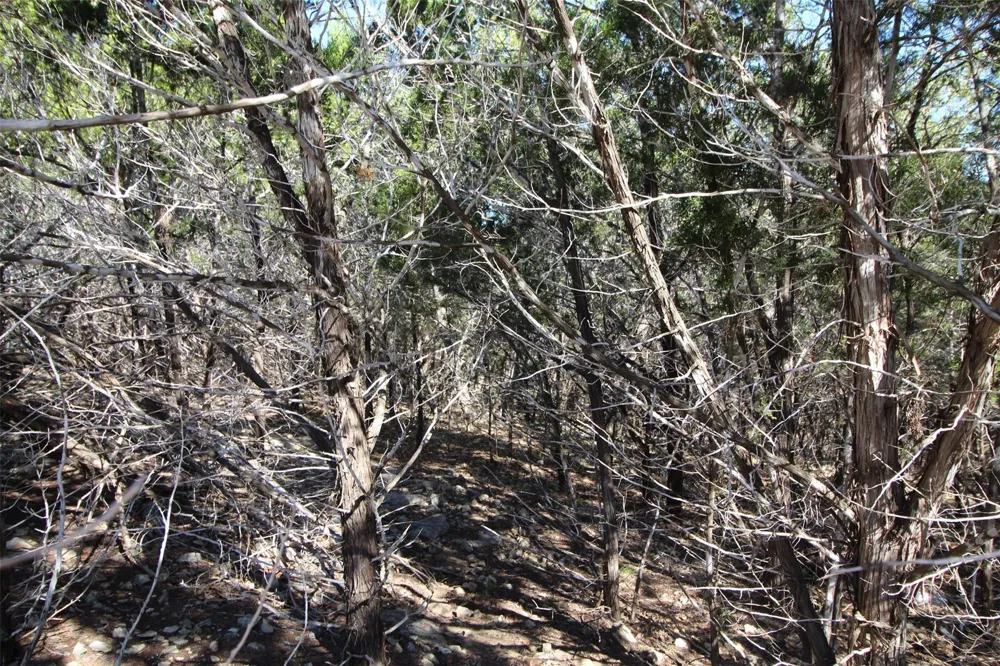 357 Big Bend Drive Canyon Lake, TX 78133