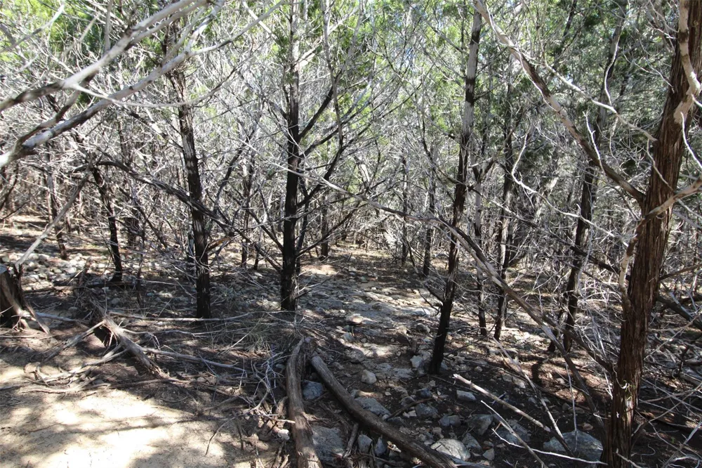 357 Big Bend Drive Canyon Lake, TX 78133
