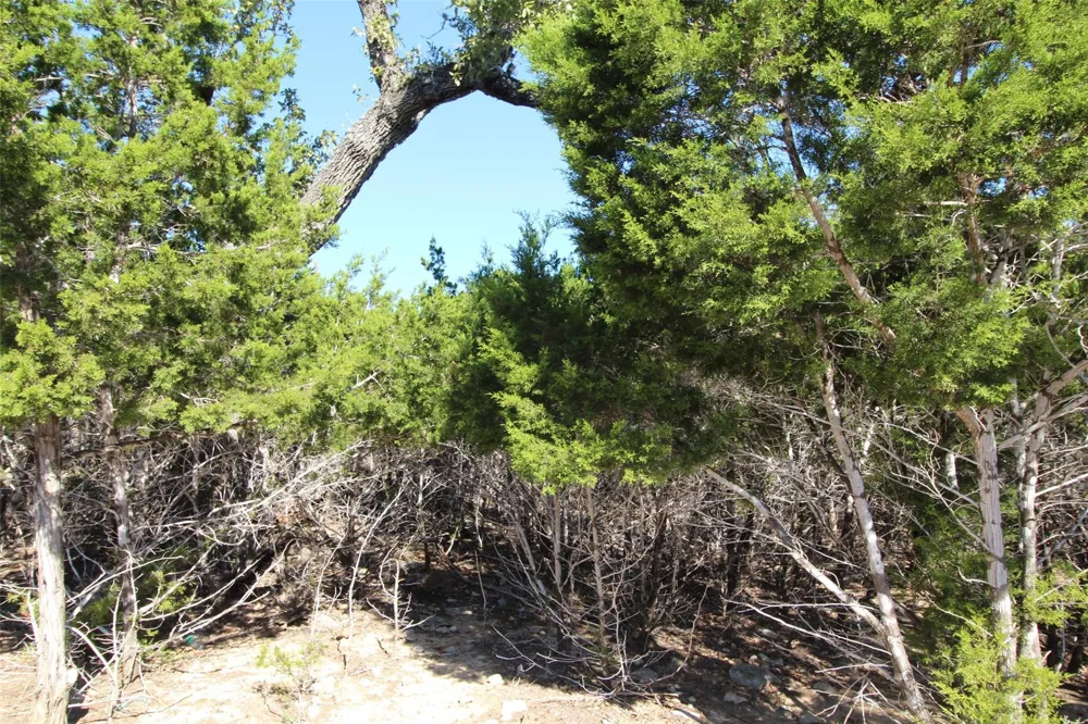 357 Big Bend Drive Canyon Lake, TX 78133