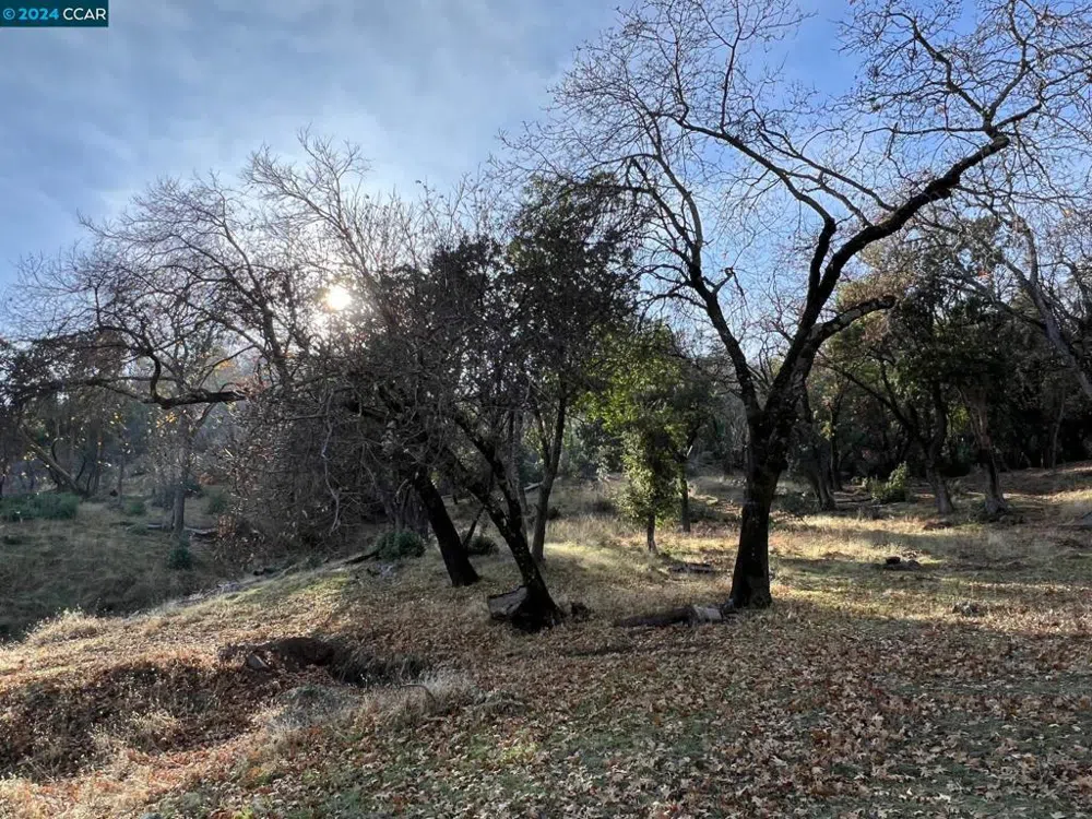 228 Country Club Lane Napa, CA 94558