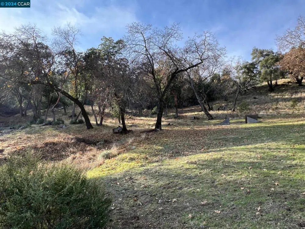 228 Country Club Lane Napa, CA 94558