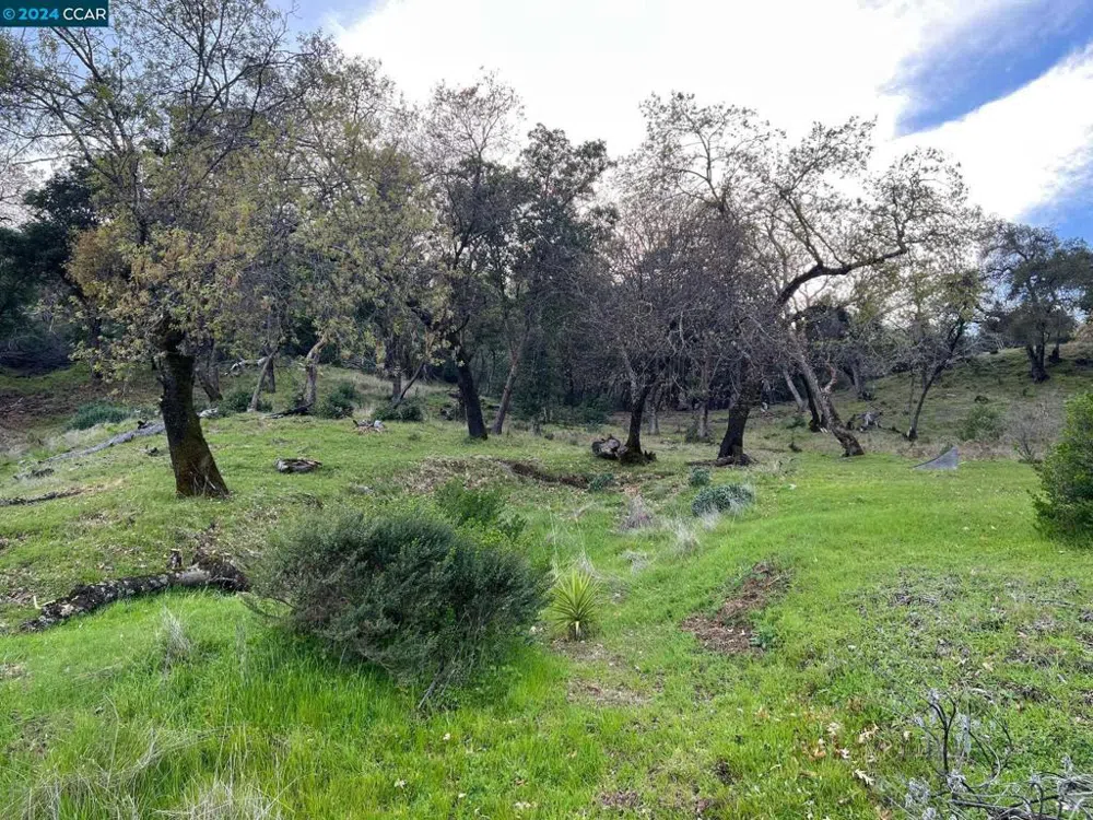 228 Country Club Lane Napa, CA 94558