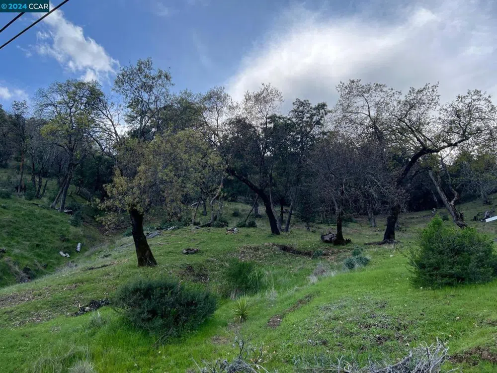 228 Country Club Lane Napa, CA 94558