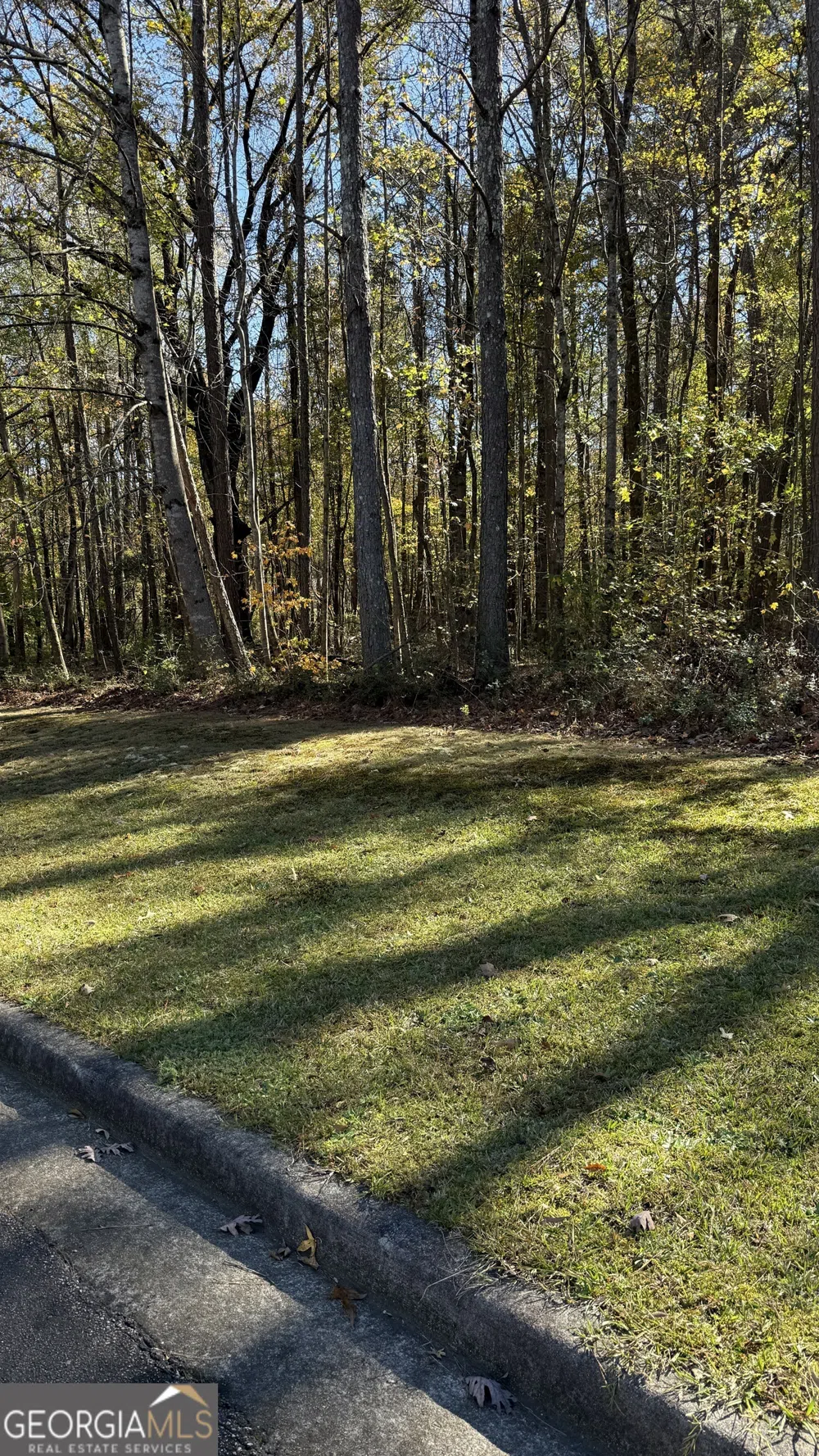 LOT 15 OF Fairview Springs DR E Ellenwood, GA 30294