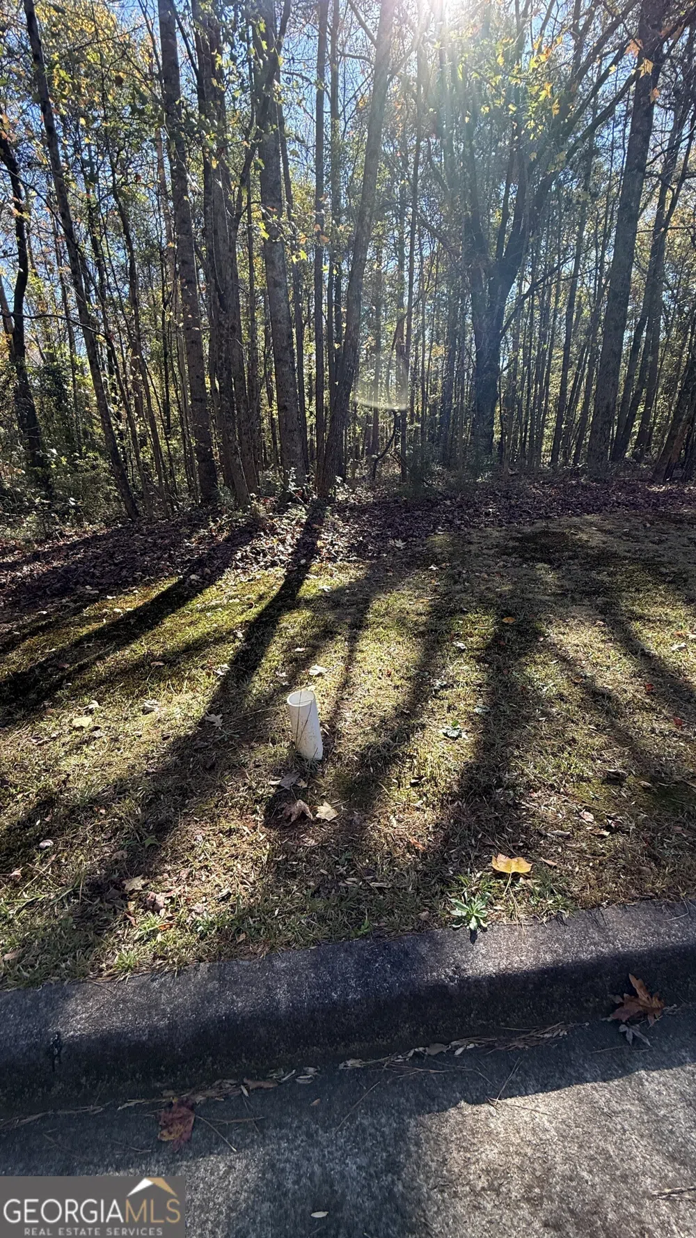 LOT 15 OF Fairview Springs DR E Ellenwood, GA 30294