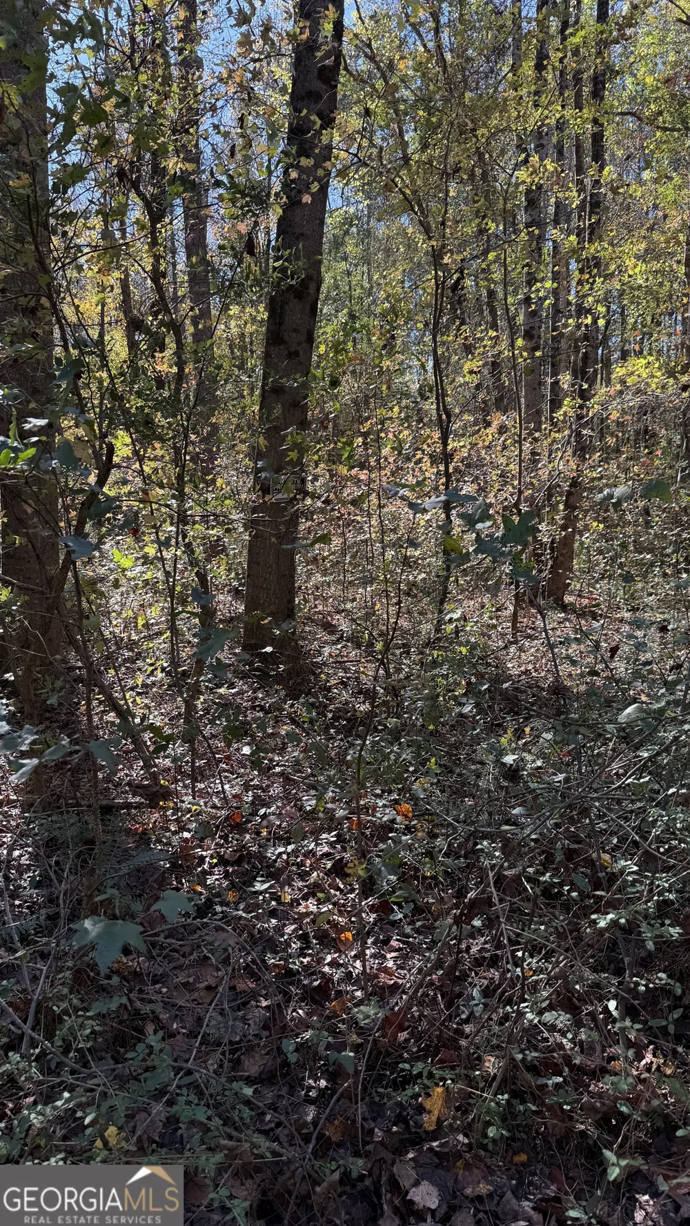 LOT 15 OF Fairview Springs DR E Ellenwood, GA 30294