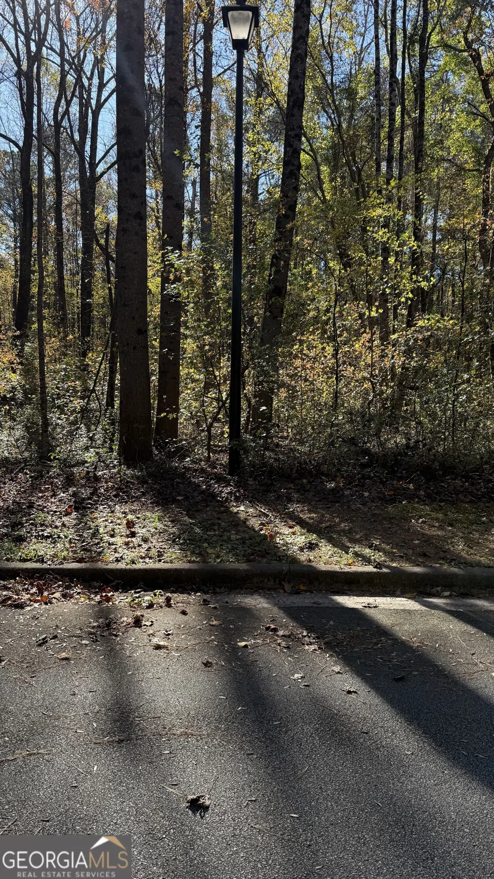 LOT 15 OF Fairview Springs DR E Ellenwood, GA 30294
