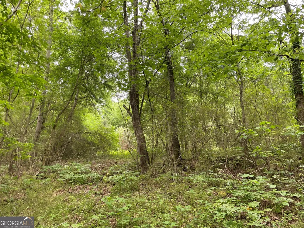 216 Mcmichen RD Dallas, GA 30157